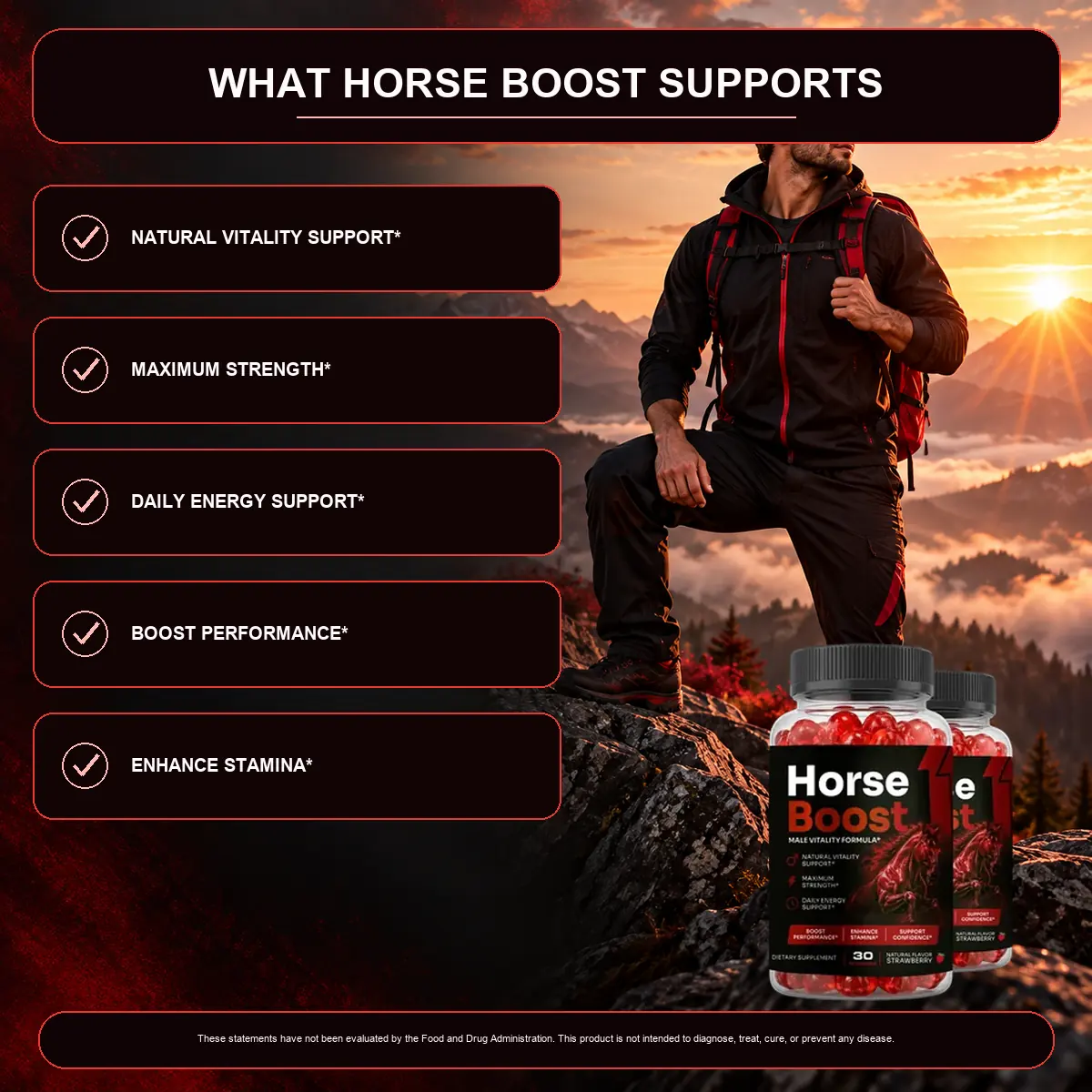 The seller's what-it-supports listing graphic for Horse Boost with five ticked support phrases beside a man on a mountain at sunrise